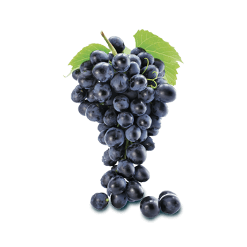 Grape seed extract
